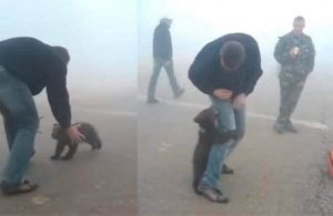 Australija 2019-2020