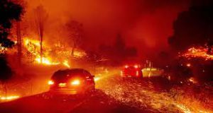 Australija 2019-2020