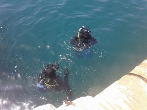 Ronioci DVD-a Stupnik na eko-akciji Paški most