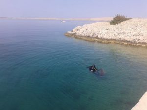 Ronioci DVD-a Stupnik na eko-akciji Paški most