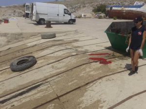 Ronioci DVD-a Stupnik na eko-akciji Paški most