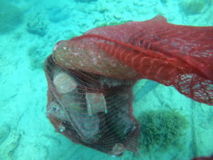 DVD Stupnik na eko akciji čišćenja podmorja u Zaglavu, Dugi otok