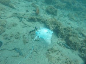 DVD Stupnik na eko akciji čišćenja podmorja u Zaglavu, Dugi otok