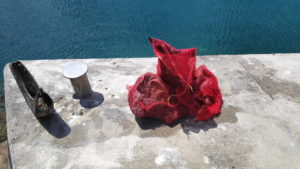 DVD Stupnik na eko akciji čišćenja podmorja u Zaglavu, Dugi otok